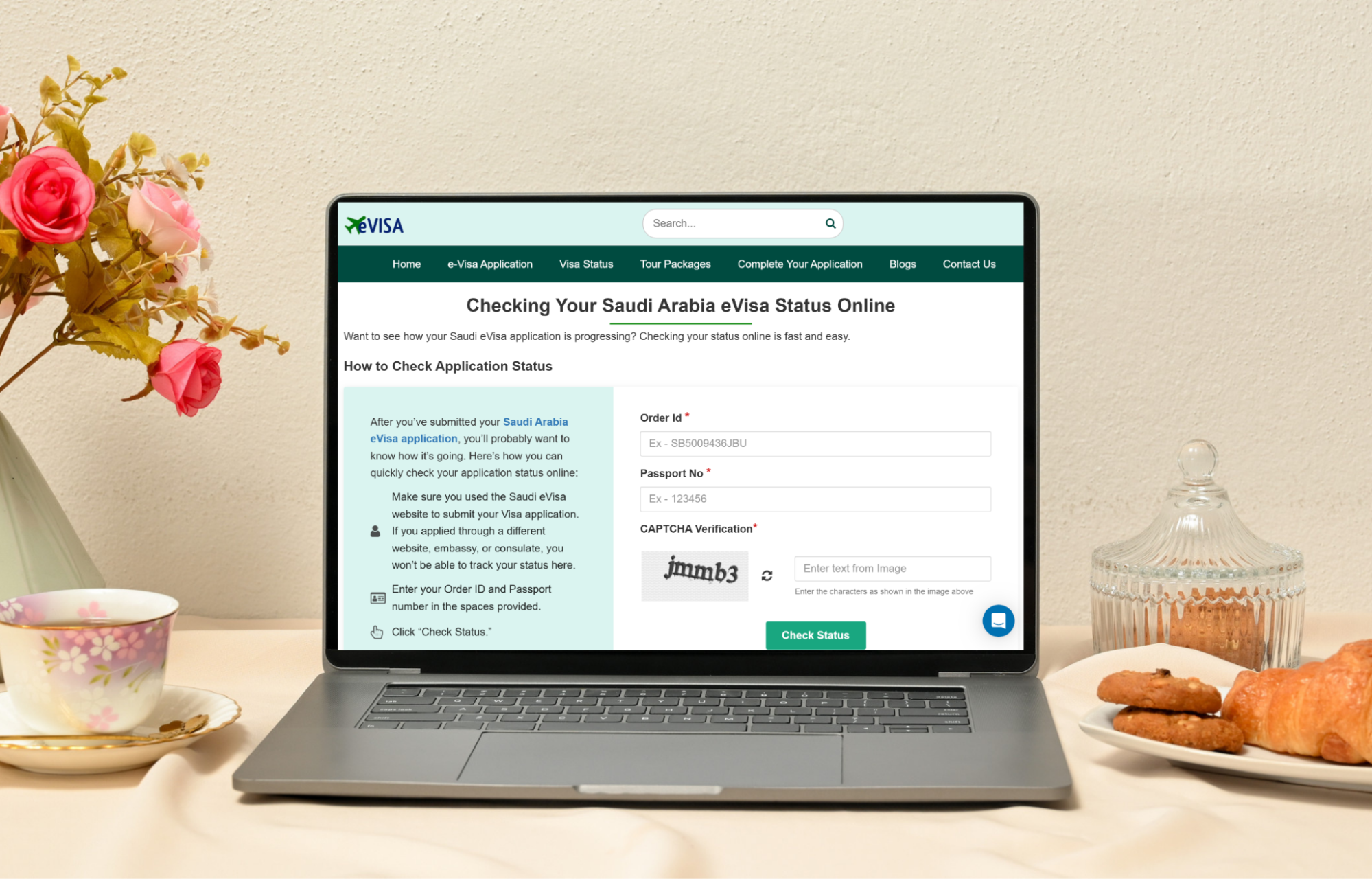 How Can Georgian Citizens Check The Saudi Arabia Evisa Status How Can Georgian Citizens Check The Saudi Arabia Evisa Status